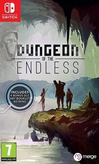 SWITCH Dungeon of the Endless cena un informācija | Datorspēles | 220.lv