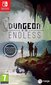 SWITCH Dungeon of the Endless цена и информация | Datorspēles | 220.lv