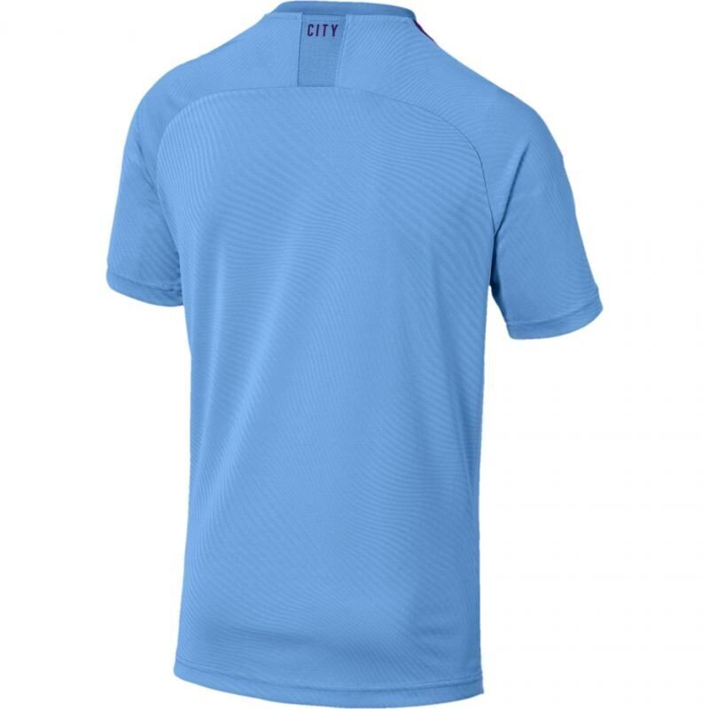 Sporta T-krekls vīriešiem Puma Manchester City FC Home M SS 755586 01 цена и информация | Sporta apģērbs vīriešiem | 220.lv