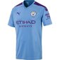 Sporta T-krekls vīriešiem Puma Manchester City FC Home M SS 755586 01 цена и информация | Sporta apģērbs vīriešiem | 220.lv