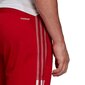 Sporta bikses vīriešiem Adidas Tiro 21 Training M GJ9869 78023 cena un informācija | Sporta apģērbs vīriešiem | 220.lv