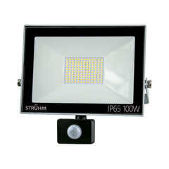 Kroma led s 100w серый 6500k светодиодный прожектор smd с датчиком движения STRÜHM 247 x 269 x 64 мм цена и информация | Монтируемые светильники, светодиодные панели | 220.lv