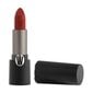 Īpaši matēta lūpu krāsa Wycon Cosmetics Lipstick Mattificent 215 BARN RED cena un informācija | Lūpu krāsas, balzāmi, spīdumi, vazelīns | 220.lv