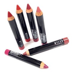 Lūpu krāsa Wycon Cosmetics Lip Power 04 LAMPONE cena un informācija | Lūpu krāsas, balzāmi, spīdumi, vazelīns | 220.lv