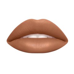 Губная помада Wycon Cosmetics Lip Power 09 BRULEE NUDE цена и информация | Помады, бальзамы, блеск для губ | 220.lv