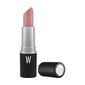 Lūpu krāsa Wycon Cosmetics Quick Lipstick 401 PINK cena un informācija | Lūpu krāsas, balzāmi, spīdumi, vazelīns | 220.lv