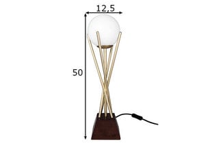 Настольная лампа Sarasota, матовая латунь цена и информация | Настольные лампы | 220.lv