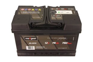 Аккумулятор Maxgear 75AH 750A цена и информация | Аккумуляторы | 220.lv