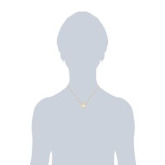 Цепочка Rafaela Donata, 42 см цена и информация | Украшения на шею | 220.lv