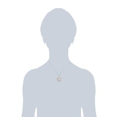 Цепочка Rafaela Donata, 42,0 см цена и информация | Украшения на шею | 220.lv