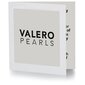 Valero Pearls kaklarota 42,0 cm basic chain 890675752 cena un informācija | Kaklarotas | 220.lv
