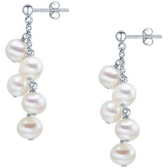 Valero Pearls сережки 890675797 цена и информация | Наборы украшений | 220.lv