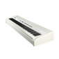 Digitālās klavieres ORLA SP230/WH cena un informācija | Taustiņinstrumenti | 220.lv