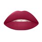 Lūpu krāsa Wycon Cosmetics Quick Lipstick 408 PLUM cena un informācija | Lūpu krāsas, balzāmi, spīdumi, vazelīns | 220.lv