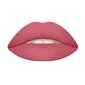 Īpaši matēta lūpu krāsa Wycon Cosmetics Lipstick Mattificent 200 RAPTURE ROSE cena un informācija | Lūpu krāsas, balzāmi, spīdumi, vazelīns | 220.lv