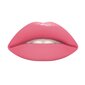 Mitra lūpu krāsa Wycon Cosmetics Wild Wet Lipstick 309 WILD ROSE цена и информация | Lūpu krāsas, balzāmi, spīdumi, vazelīns | 220.lv
