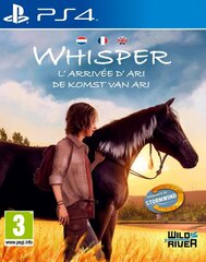 Spēle priekš PlayStation 4, Windstorm: Ari's Arrival cena un informācija | Datorspēles | 220.lv