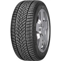 Goodyear 215/50R17 95 V UltraGrip Performance+ цена и информация | Всесезонная резина | 220.lv