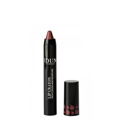 Lūpu krāsa-zīmulis Idun Minerals Lip crayon Jenny, 2.5 g cena un informācija | Lūpu krāsas, balzāmi, spīdumi, vazelīns | 220.lv