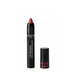 Lūpu krāsa-zīmulis Idun Minerals Lip crayon Monica, 2.5 g cena un informācija | Lūpu krāsas, balzāmi, spīdumi, vazelīns | 220.lv