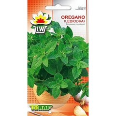 Raudene - Oregano, 0.5 g cena un informācija | Garšvielu sēklas | 220.lv