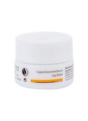 Dr. Hauschka Lip Balm lūpu balzams 4,5 ml cena un informācija | Lūpu krāsas, balzāmi, spīdumi, vazelīns | 220.lv