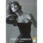 Dolce & Gabbana Dolce & Gabbana Pour Femme EDT sievietēm 100 ml. цена и информация | Sieviešu smaržas | 220.lv