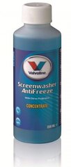 Stikla mazgāšanas SCREENWASHER ANTIFREEZE -50 C koncentrāts 1L, Valvoline cena un informācija | Vējstiklu un dzesēšanas šķidrumi | 220.lv