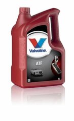 Automātisko pārnesumkārbu eļļa VALVOLINE ATF, 5 l, Valvoline cena un informācija | Eļļas citām autodaļām | 220.lv
