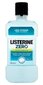Mutes skalošanas līdzeklis Listerine Zero, 500 ml цена и информация | Zobu pastas, birstes | 220.lv