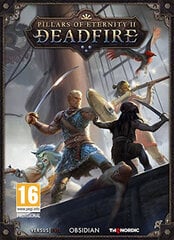 PC Pillars of Eternity II - Deadfire цена и информация | Компьютерные игры | 220.lv