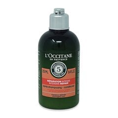 L'Occitane Aroma intensīvi atjaunojošs balzams 250 ml cena un informācija | Matu kondicionieri, balzāmi | 220.lv