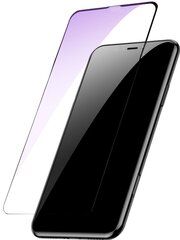 Aizsargplēves Evelatus    Apple    Mirror Film protector for iPhone X cena un informācija | Ekrāna aizsargstikli | 220.lv