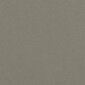 Aizkars Parisa, bēšā krāsā, 135 x 270 cm, 1 gab. cena un informācija | Aizkari | 220.lv