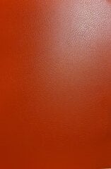 Evelatus Leather Film for Sreen Cutter Red цена и информация | Защитные пленки для телефонов | 220.lv