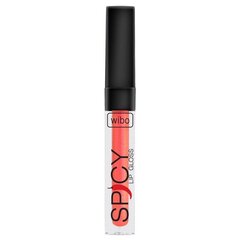 Блеск для губ Wibo Spicy Lip Gloss тон 8, 3 мл цена и информация | Помады, бальзамы, блеск для губ | 220.lv