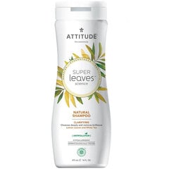 Attitude Super Leaves Clarifying -Глубоко очищающий шампунь 473 ml цена и информация | Шампуни | 220.lv