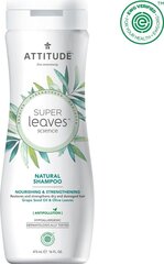 Attitude Super Leaves Nourishing & Strengthening  - Укрепляющий шампунь для сухих волос 473 ml цена и информация | Шампуни | 220.lv