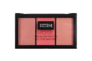 Gabriella Salvete Trio Blush Palette vaigu sārtums 15 g, 02 Rose cena un informācija | Bronzeri, vaigu sārtumi | 220.lv