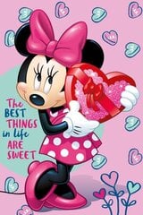 Плед Minnie 100 х 150 см цена и информация | Покрывала, пледы | 220.lv