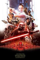 Плед Star Wars 100 x 150 см цена и информация | Покрывала, пледы | 220.lv