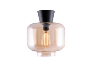 Griestu lampa Ritz, dzintara toņa, 60 W 891062555 cena un informācija | Griestu lampas | 220.lv