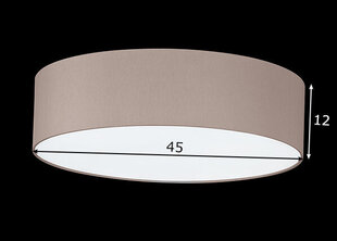 Потолочный светильник Maat, цвет капучино, 3x 40 Вт. цена и информация | Потолочные светильники | 220.lv