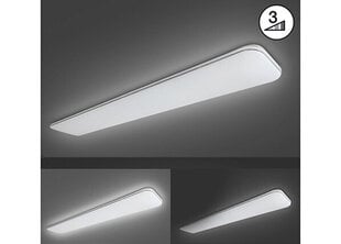 Griestu lampa Aldo LED, balta, 48 W/5100 lm 891092957 цена и информация | Потолочные светильники | 220.lv