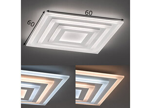 Griestu lampa Gorden LED, balta, 56 W/4100 lm 891092953 cena un informācija | Griestu lampas | 220.lv