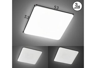 Griestu lampa Aldo LED, balta, 49 W/5100 lm 891092955 цена и информация | Потолочные светильники | 220.lv