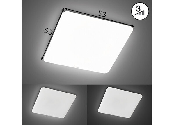 Griestu lampa Aldo LED, balta, 49 W/5100 lm 891092955 cena un informācija | Griestu lampas | 220.lv