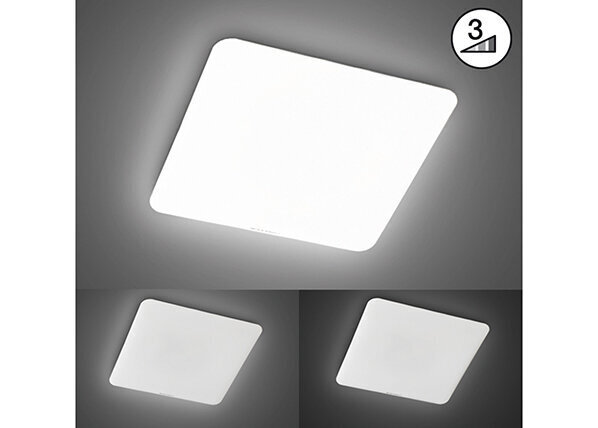 Griestu lampa Aldo LED, balta, 49 W/5100 lm 891092955 cena un informācija | Griestu lampas | 220.lv