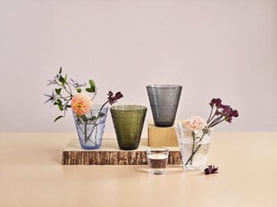 Ваза Iittala Kastehelmi 154 мм, серый цена и информация | Вазы | 220.lv