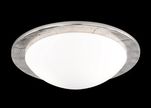 Потолочный светильник Fischer&Honsel Nantes цена и информация | Потолочные светильники | 220.lv